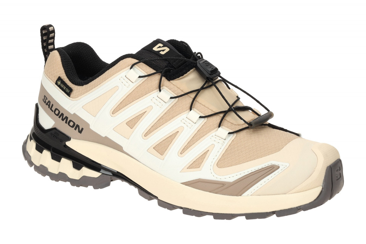 Salomon XA PRO 3D V9 GTX 478176 beige - Sportschuhe f?r Damen 1 Salomon XA PRO 3D V9 GTX 478176 beige - Sportschuhe f?r Damen