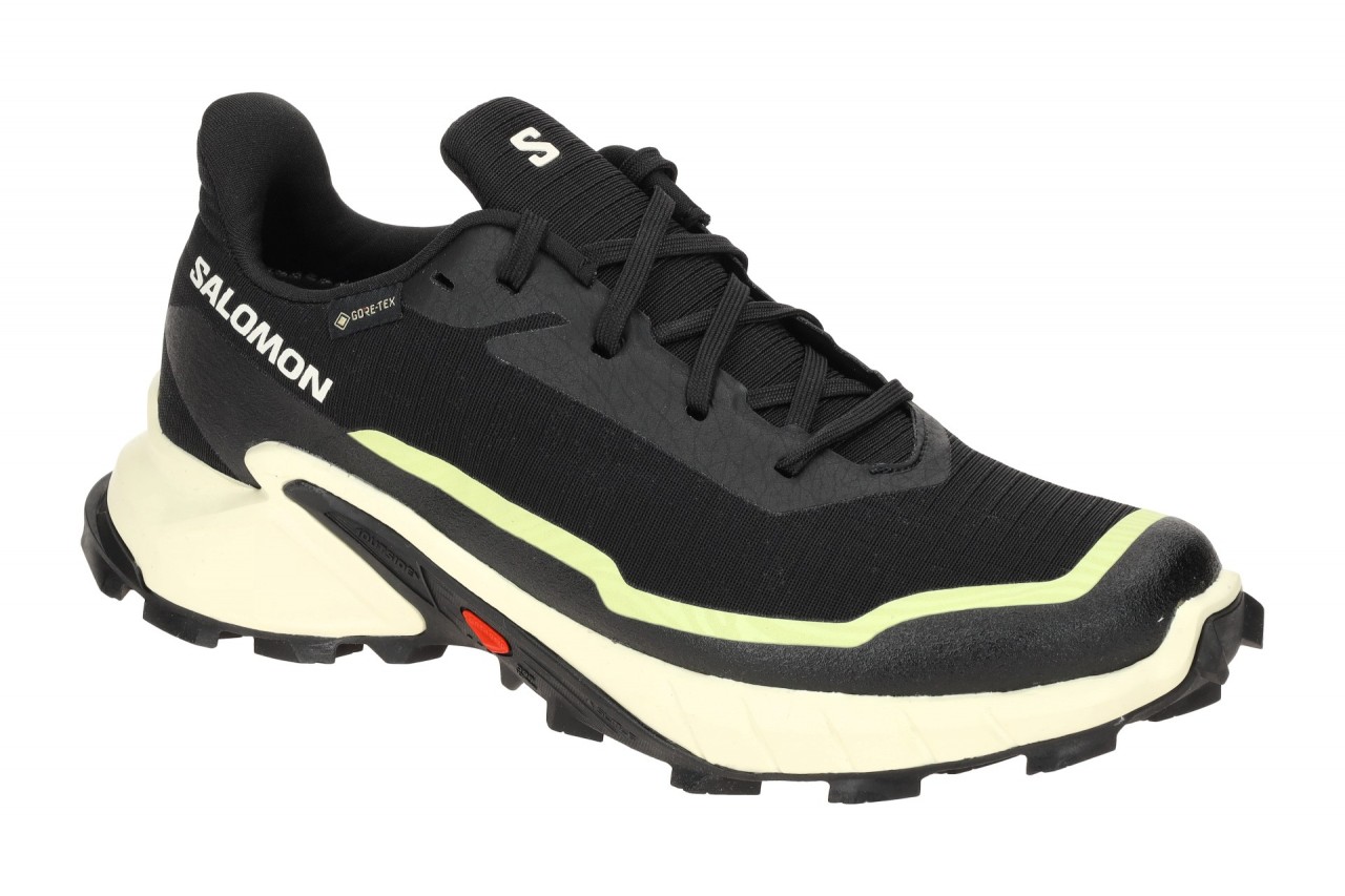 Salomon 474606 Alphacross 5 GTX Trailrunning Damen Sportschuhe Schwarz 1 Salomon 474606 Alphacross 5 GTX Trailrunning Damen Sportschuhe Schwarz