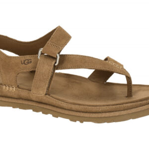 UGG 1175134 GoldenGaze Toe Post Damen Zehentrenner Sandale braun chestnut, Ec...