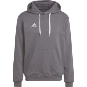 Adidas ENTRADA 22 Hoody Herren Kapuzensweatshirt grau HB0578