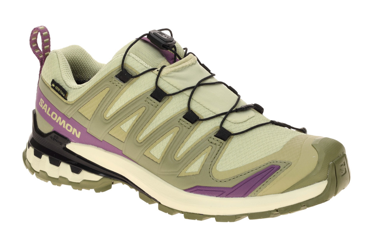 Salomon 491458 XA PRO 3D V9 GTX Damenschuhe gr?n bog/aloe/concord grape wasse... 1 Salomon 491458 XA PRO 3D V9 GTX Damenschuhe gr?n bog/aloe/concord grape wasse...