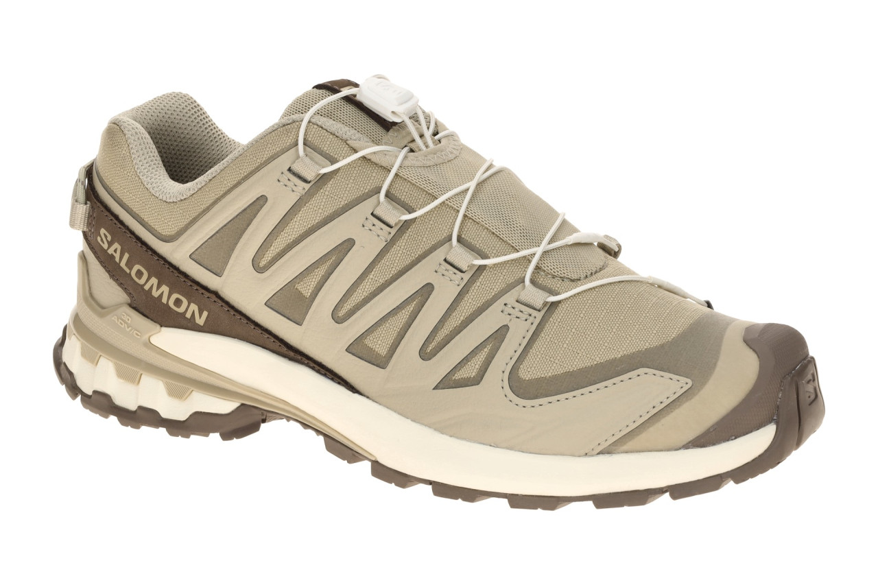 Salomon 491538 XA PRO 3D V9 LIFELONG Herren Trailrunning-Schuhe Beige eucalyp... 1 Salomon 491538 XA PRO 3D V9 LIFELONG Herren Trailrunning-Schuhe Beige eucalyp...